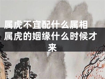 属虎不宜配什么属相 属虎的姻缘什么时候才来