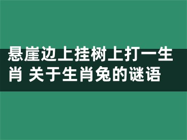 悬崖边上挂树上打一生肖 关于生肖兔的谜语