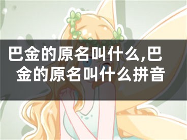 巴金的原名叫什么,巴金的原名叫什么拼音