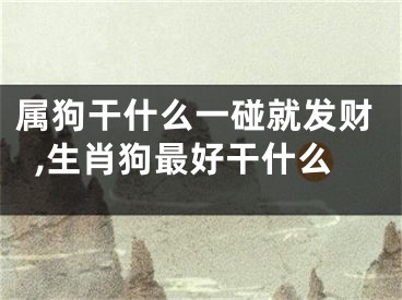 属狗干什么一碰就发财,生肖狗最好干什么
