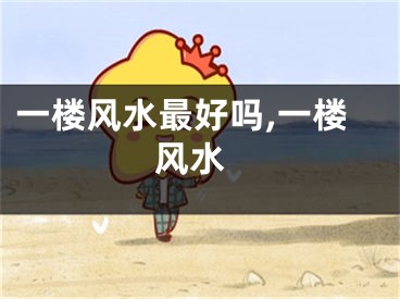 一楼风水最好吗,一楼 风水