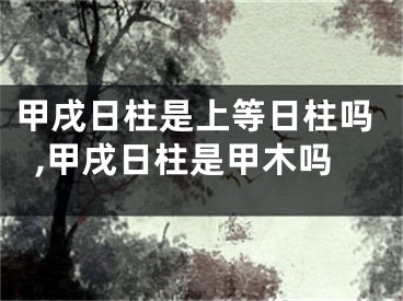 甲戌日柱是上等日柱吗,甲戌日柱是甲木吗