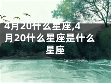 4月20什么星座,4月20什么星座是什么星座