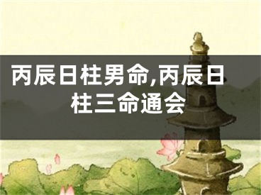 丙辰日柱男命,丙辰日柱三命通会