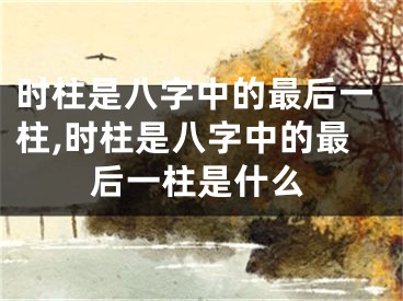 时柱是八字中的最后一柱,时柱是八字中的最后一柱是什么
