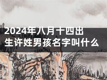 2024年八月十四出生许姓男孩名字叫什么