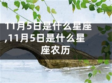 11月5日是什么星座,11月5日是什么星座农历