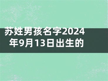苏姓男孩名字2024年9月13日出生的