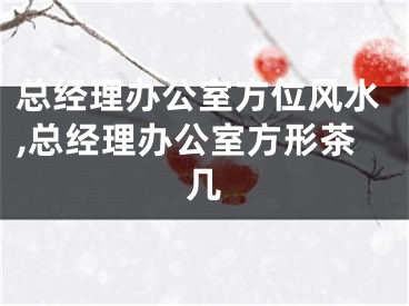 总经理办公室方位风水,总经理办公室方形茶几
