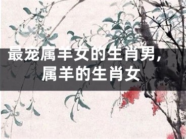 最宠属羊女的生肖男,属羊的生肖女