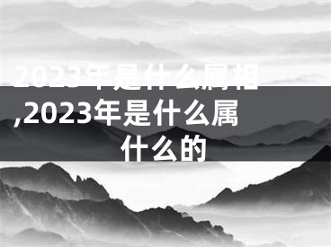 2023年是什么属相,2023年是什么属什么的