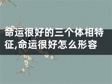 命运很好的三个体相特征,命运很好怎么形容