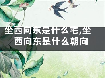 坐西向东是什么宅,坐西向东是什么朝向