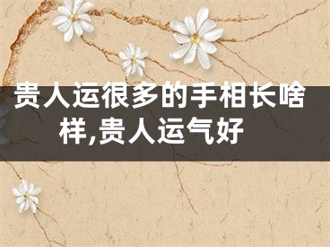 贵人运很多的手相长啥样,贵人运气好