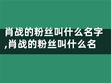 肖战的粉丝叫什么名字,肖战的粉丝叫什么名