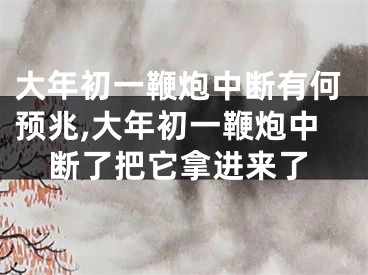 大年初一鞭炮中断有何预兆,大年初一鞭炮中断了把它拿进来了