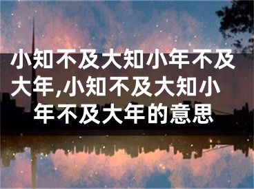 小知不及大知小年不及大年,小知不及大知小年不及大年的意思