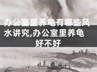 办公室里养龟有哪些风水讲究,办公室里养龟好不好