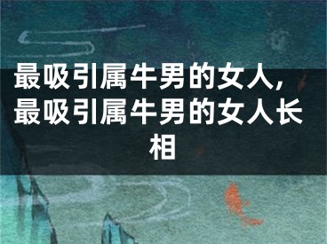 最吸引属牛男的女人,最吸引属牛男的女人长相