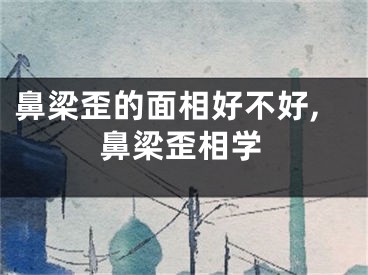 鼻梁歪的面相好不好,鼻梁歪相学