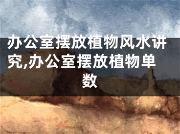 办公室摆放植物风水讲究,办公室摆放植物单数