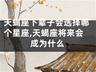 天蝎座下辈子会选择哪个星座,天蝎座将来会成为什么