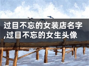 过目不忘的女装店名字,过目不忘的女生头像