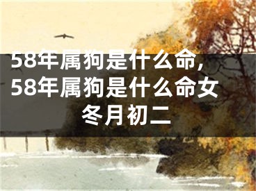 58年属狗是什么命,58年属狗是什么命女冬月初二