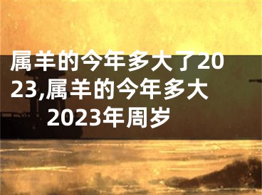 属羊的今年多大了2023,属羊的今年多大2023年周岁