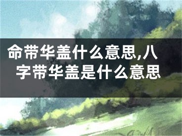 命带华盖什么意思,八字带华盖是什么意思