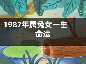 1987年属兔女一生命运