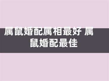 属鼠婚配属相最好 属鼠婚配最佳