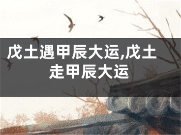 戊土遇甲辰大运,戊土走甲辰大运