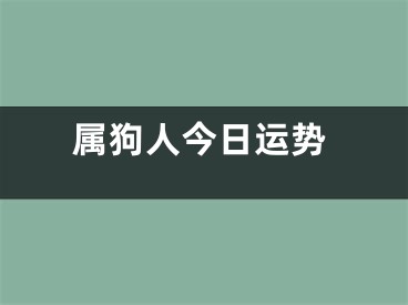 属狗人今日运势
