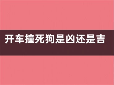 开车撞死狗是凶还是吉