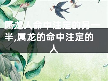 属龙人命中注定的另一半,属龙的命中注定的人