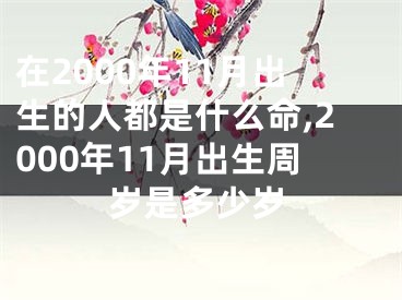 在2000年11月出生的人都是什么命,2000年11月出生周岁是多少岁