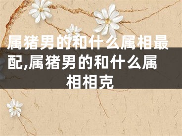 属猪男的和什么属相最配,属猪男的和什么属相相克