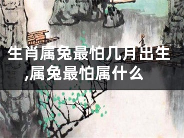 生肖属兔最怕几月出生,属兔最怕属什么