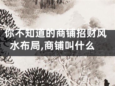 你不知道的商铺招财风水布局,商铺叫什么