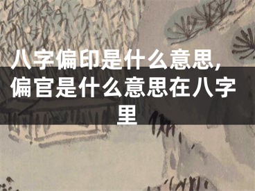 八字偏印是什么意思,偏官是什么意思在八字里