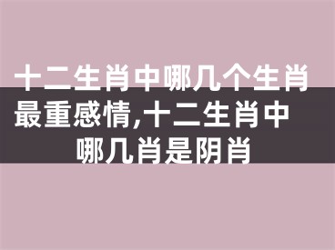 十二生肖中哪几个生肖最重感情,十二生肖中哪几肖是阴肖