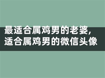 最适合属鸡男的老婆,适合属鸡男的微信头像