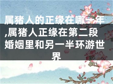 属猪人的正缘在哪一年,属猪人正缘在第二段婚姻里和另一半环游世界
