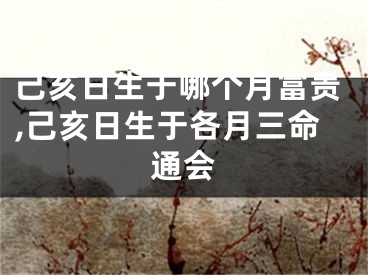己亥日生于哪个月富贵,己亥日生于各月三命通会