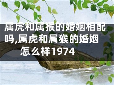 属虎和属猴的婚姻相配吗,属虎和属猴的婚姻怎么样1974