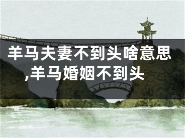 羊马夫妻不到头啥意思,羊马婚姻不到头