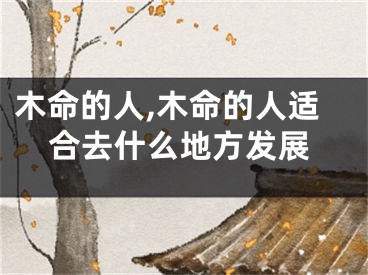 木命的人,木命的人适合去什么地方发展