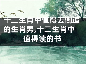 十二生肖中值得去倒追的生肖男,十二生肖中值得读的书
