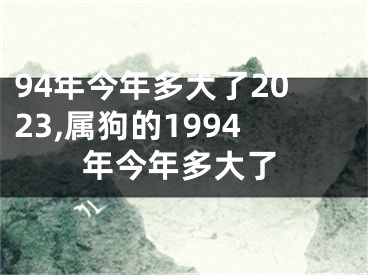 94年今年多大了2023,属狗的1994年今年多大了